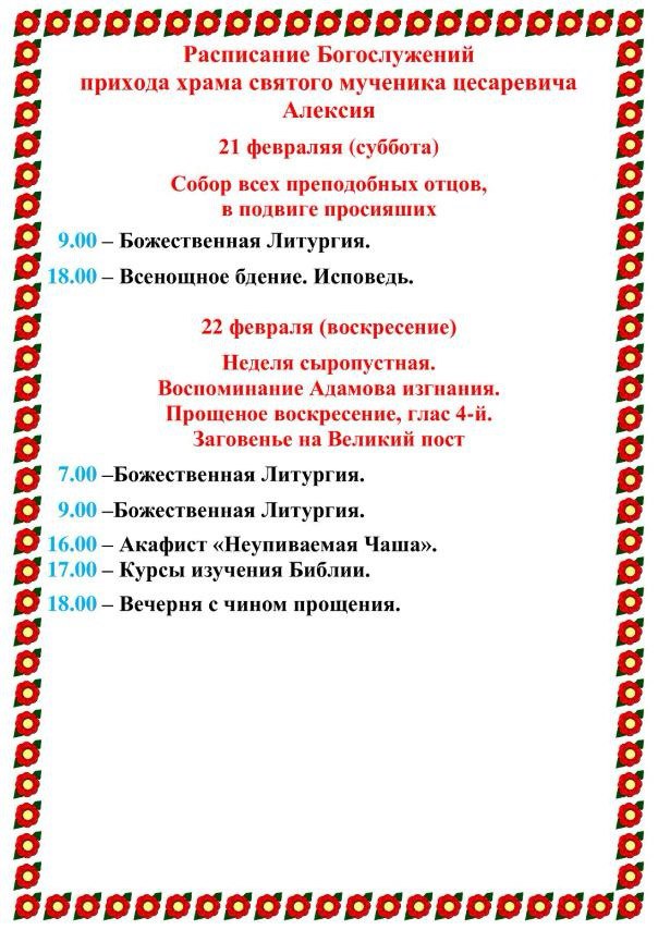 photo 2026-02-16 13-04-54